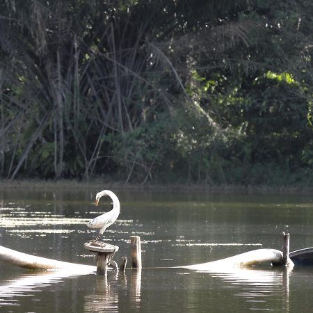 Pousada Paraiso Verde Conde  Eksteriør billede
