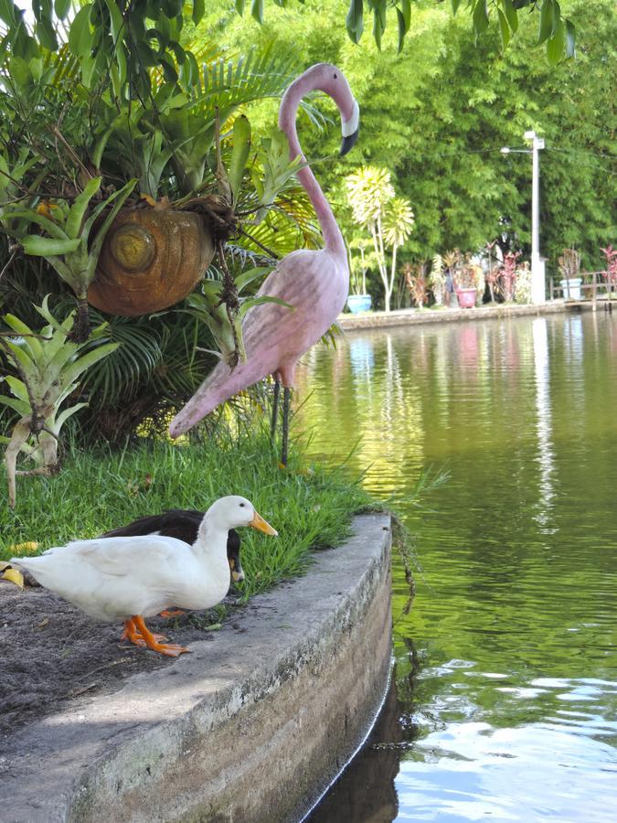 Pousada Paraiso Verde Conde  Eksteriør billede